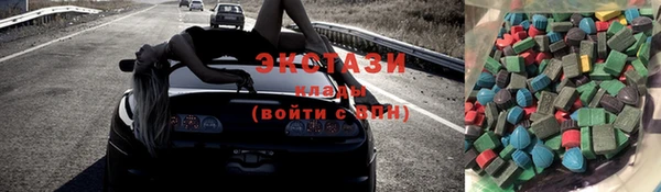 индика Каменногорск