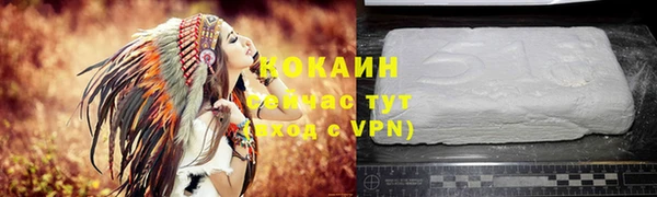 мет Каменка