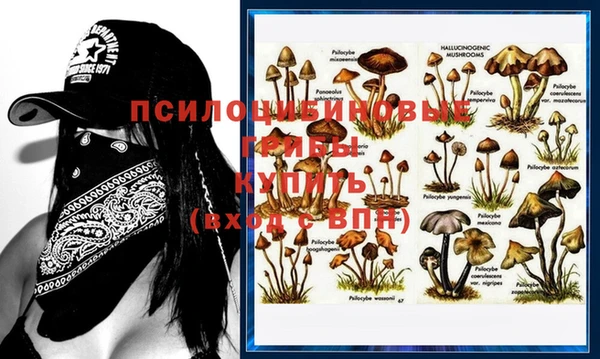 герыч Иннополис