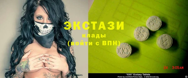 индика Каменногорск