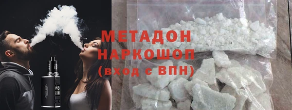 индика Каменногорск