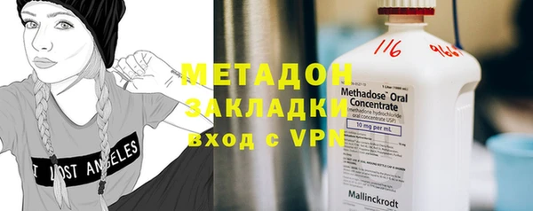 индика Каменногорск