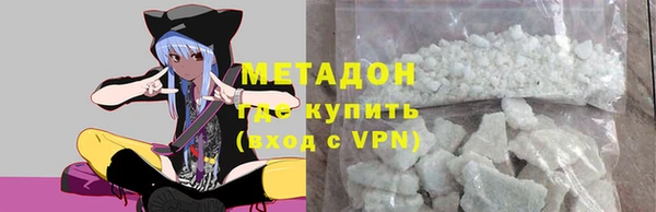 индика Каменногорск