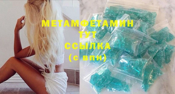 индика Каменногорск