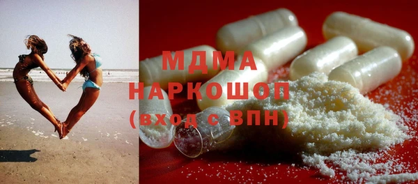 индика Каменногорск