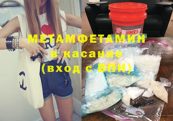 индика Каменногорск