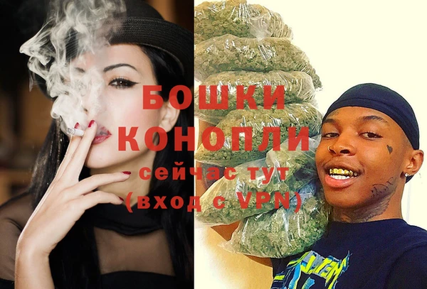 индика Каменногорск