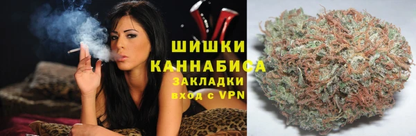 индика Каменногорск