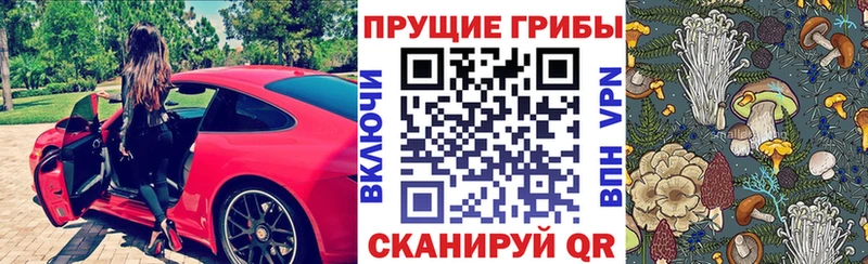 Псилоцибиновые грибы ЛСД  Купить где  Демидов 