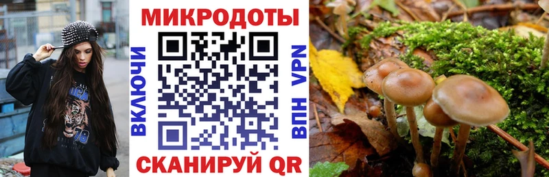 Псилоцибиновые грибы Psilocybe Демидов